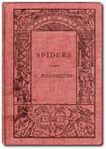 Spiders
