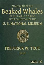 The Beaked Whales of the Family ZiphidaeAn account of the Beaked Whales of the Family Ziphiidaein the collection of the united states museum...