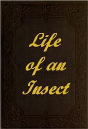 The Life of an Insect / being a history of the changes of insects from the egg to / the perfect being.