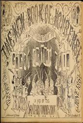 The New Book of Nonsense / Contribution to the Great Central Fair in Aid of the Sanitary Commission