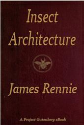 Insect Architecture