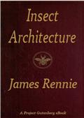 Insect Architecture