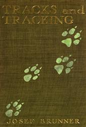 Tracks and Tracking
