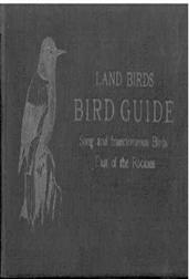Bird Guide: Land Birds East of the RockiesFrom Parrots to Bluebirds