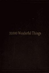 Ten Thousand Wonderful Things