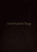 Ten Thousand Wonderful Things