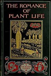 The Romance of Plant Life / Interesting Descriptions of the Strange and Curious in the Plant World