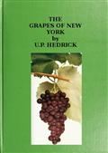 The Grapes of New York