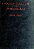 Trooper Bluegum at the Dardanelles / Descriptive Narratives of the More Desperate Engagements / on the Gallipoli Peninsula