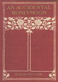 An Accidental Honeymoon
