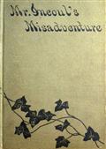 Mr. Incoul`s Misadventure