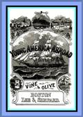 Vine and Olive; Or, Young America in Spain and Portugal / A Story of Travel and Adventure