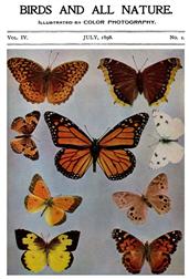 Birds and all Nature, Vol. IV, No. 1, July 1898 / Illustrated by Color Photography