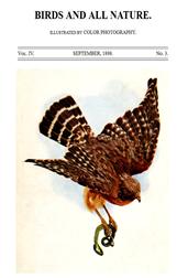 Birds and all Nature, Vol. IV, No. 3, September 1898 / Illustrated by Color Photography