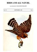 Birds and all Nature, Vol. IV, No. 3, September 1898 / Illustrated by Color Photography