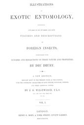 Illustrations of Exotic Entomology, Volume 1