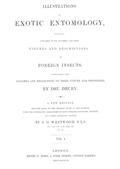Illustrations of Exotic Entomology, Volume 1