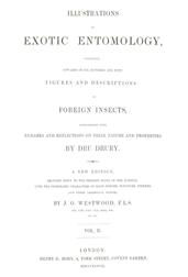 Illustrations of Exotic Entomology, Volume 2