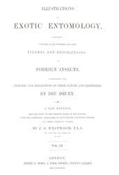 Illustrations of Exotic Entomology, Volume 3