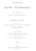 Illustrations of Exotic Entomology, Volume 3