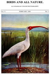 Birds and all Nature, Vol. V, No. 2, February 1899 / Illustrated by Color Photography