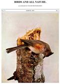 Birds and All Nature, Vol. V, No. 3, March 1899 / Illustrated by Color Photography