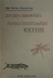 The Young Collector`s Handbook of Ants, Bees, Dragon-flies, Earwigs, Crickets, and Flies / Hymenoptera, Neuroptera, Orthoptera, Hemiptera, Diptera.