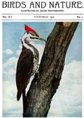 Birds and Nature, Vol. 12 No. 4 [September 1902] / Illustrated by Color Photography