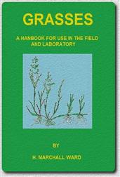 Grasses: A Handbook for use in the Field and Laboratory