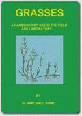 Grasses: A Handbook for use in the Field and Laboratory