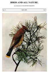 Birds and all Nature, Vol. V, No. 5, May 1899 / Illustrated by Color Photography