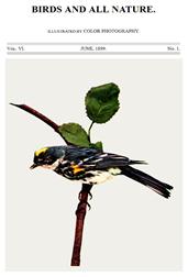 Birds and All Nature, Vol. VI, No. 1, June 1899 / Illustrated by Color Photography
