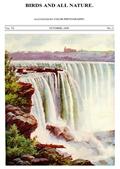 Birds and All Nature, Vol. VI, No. 3, October 1899 / Illustrated by Color Photography