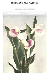 Birds and all Nature, Vol. VI, No. 4, November 1899 / In Natural Colors