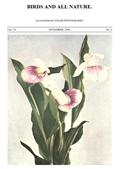 Birds and all Nature, Vol. VI, No. 4, November 1899 / In Natural Colors