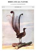 Birds and All Nature, Vol. VI, No. 5, December 1899 / Illustrated by Color Photography
