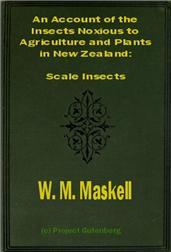An Account of the Insects Noxious to Agriculture and Plants in New Zealand / The Scale Insects (Coccididae)