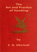The Art and Practice of Hawking