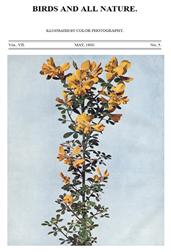 Birds and all Nature Vol VII, No. 5, May 1900 / Illustrated by Color Photography