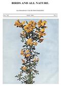 Birds and all Nature Vol VII, No. 5, May 1900 / Illustrated by Color Photography