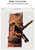Birds and Nature Vol. VIII, No. 3, October 1900 / Illustrated by Color Photography