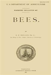 Bees