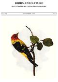 Birds and Nature, Vol. VIII, No. 4, November 1900 / Illustrated by Color Photography