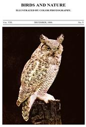 Birds and Nature, Vol. VIII, No. 5, December 1900 / Illustrated by Color Photography