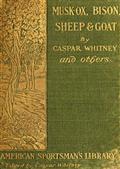 Musk-Ox, Bison, Sheep and Goat