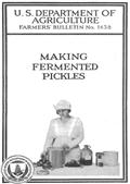 Making Fermented Pickles