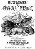 Outlines of Creation
