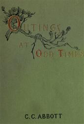 Outings At Odd Times