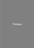 Pelaaja