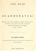 One Year in Scandinavia